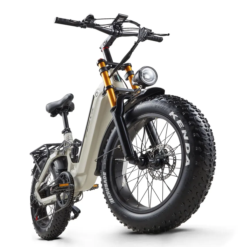 Vélos cargo électriques