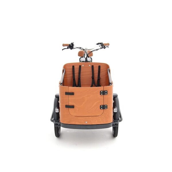 Babboe Go-E Électrique 2021 – Vélo Cargo Familial à Assistance – Image 5