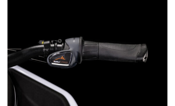 Cube Cargo Hybrid Sport 500 | Moov’Up – Image 3